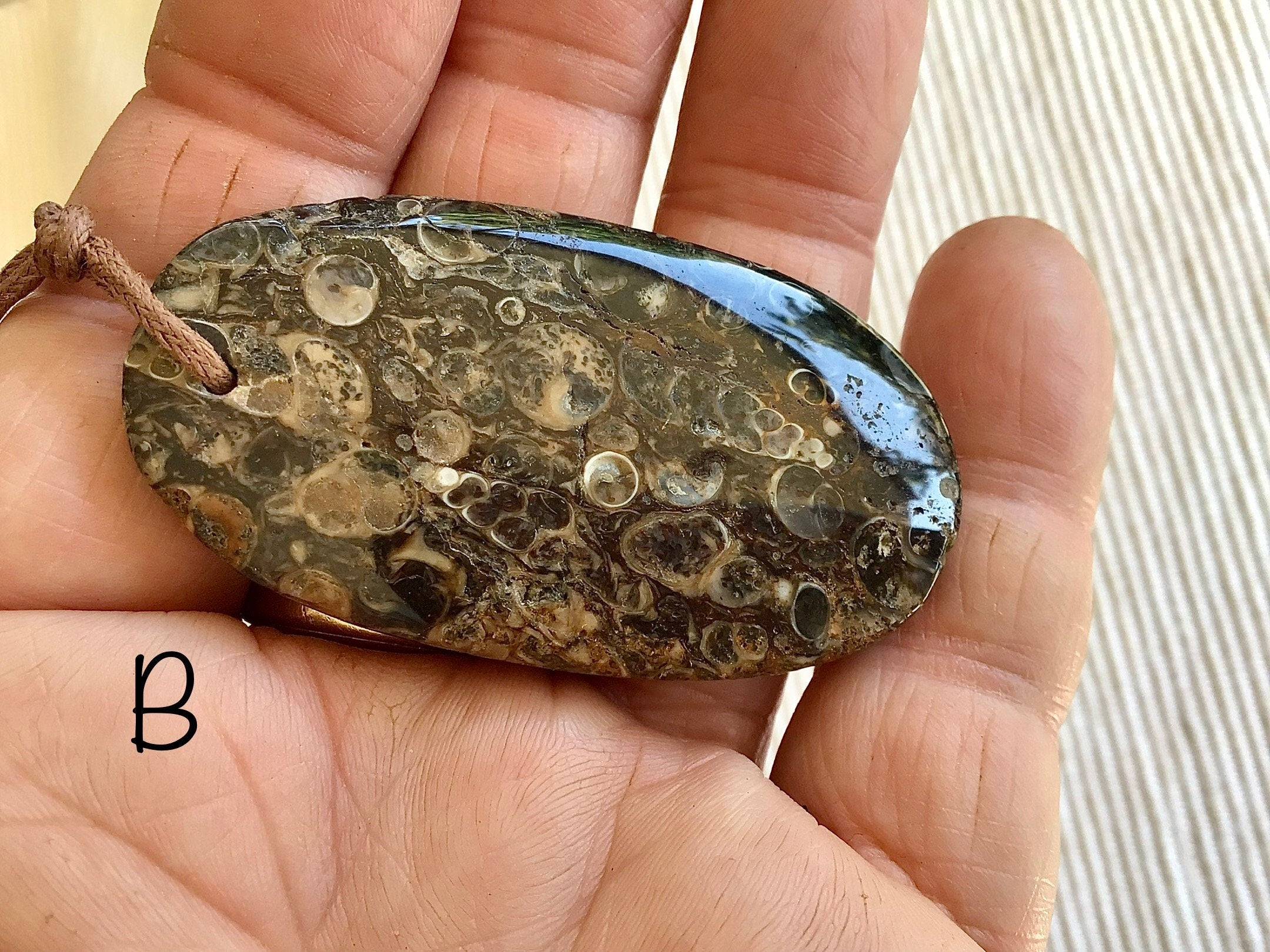Large Turitella Agate Polished Pendant 1A