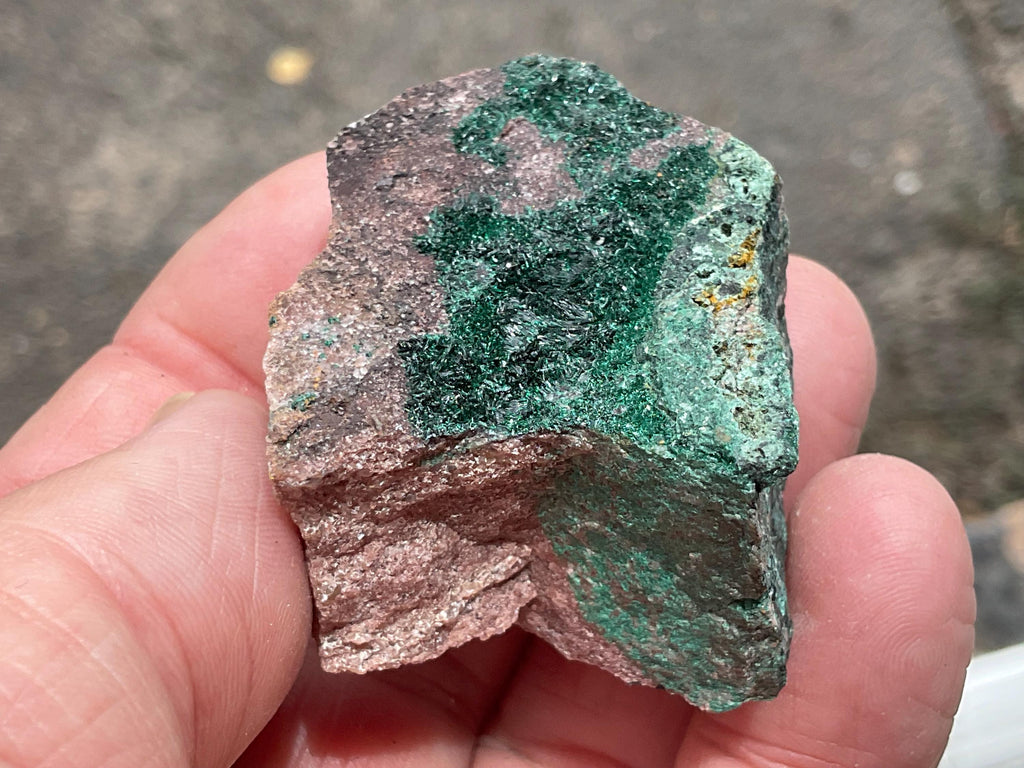 56g Atacamite Specimen 1C from Mt Gunson