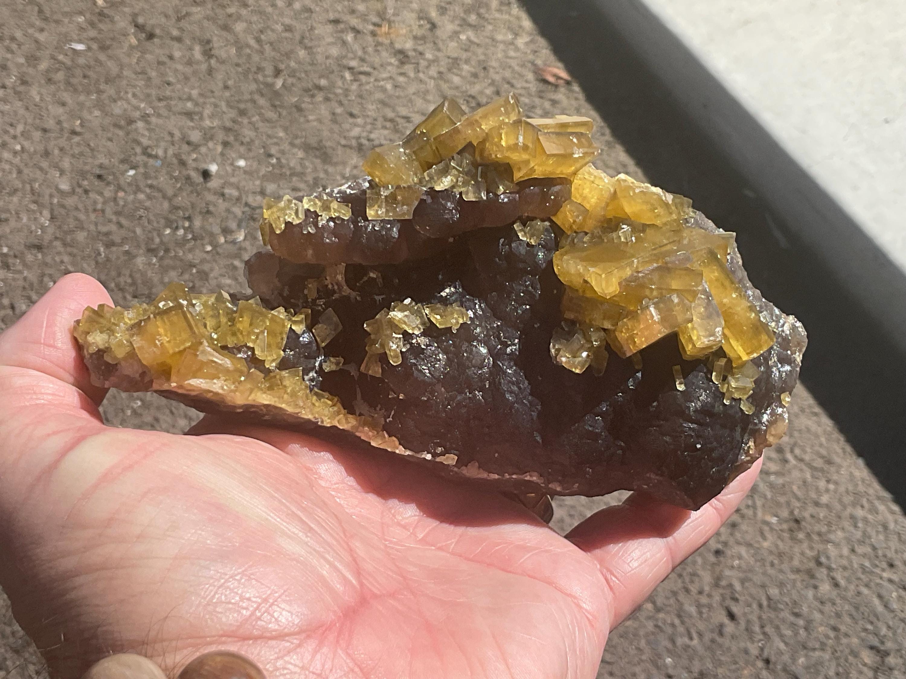 464g Tabular Golden Baryte on Botryoidal Fluorite Specimen 3C from Jiangxi