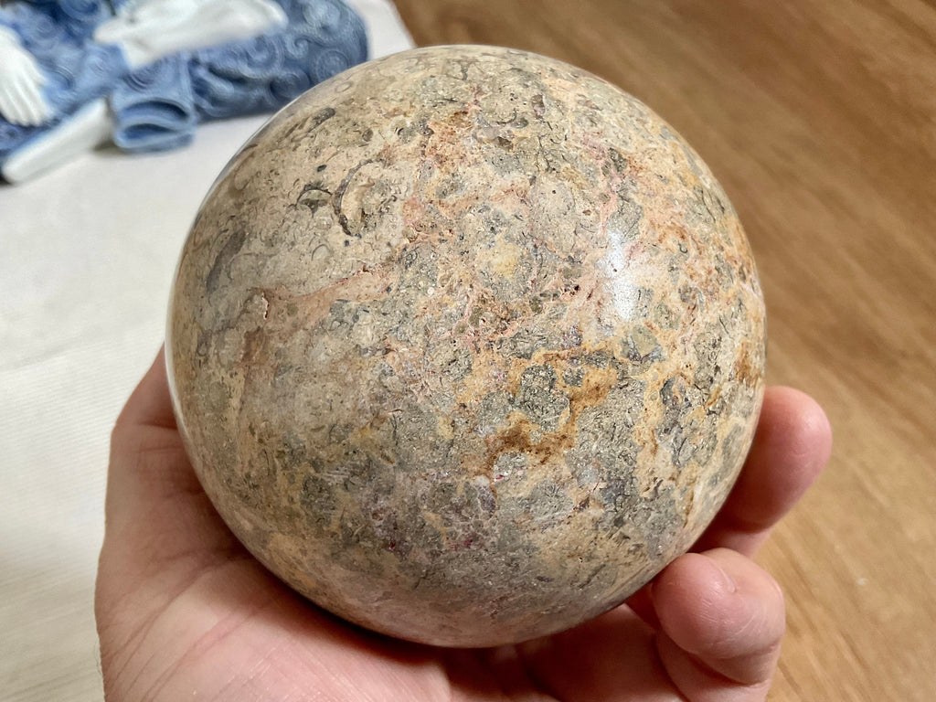1268g XL Fossilised Ocean Floor Sphere C