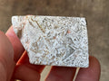 100g Mexican Crazy Lace Agate Freeform 20B