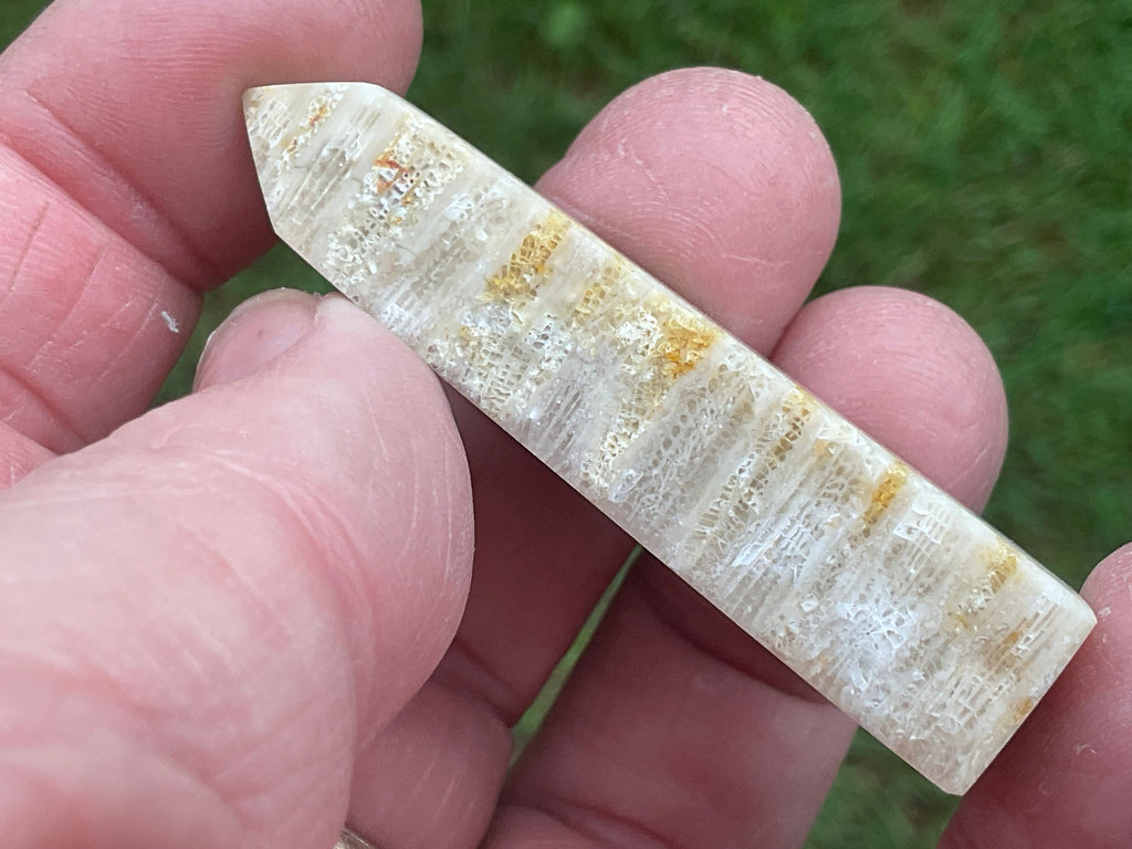24g Fossilised Coral Generator 1A