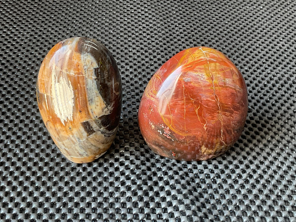 252g Petrified Wood Freeform A from Madagascar