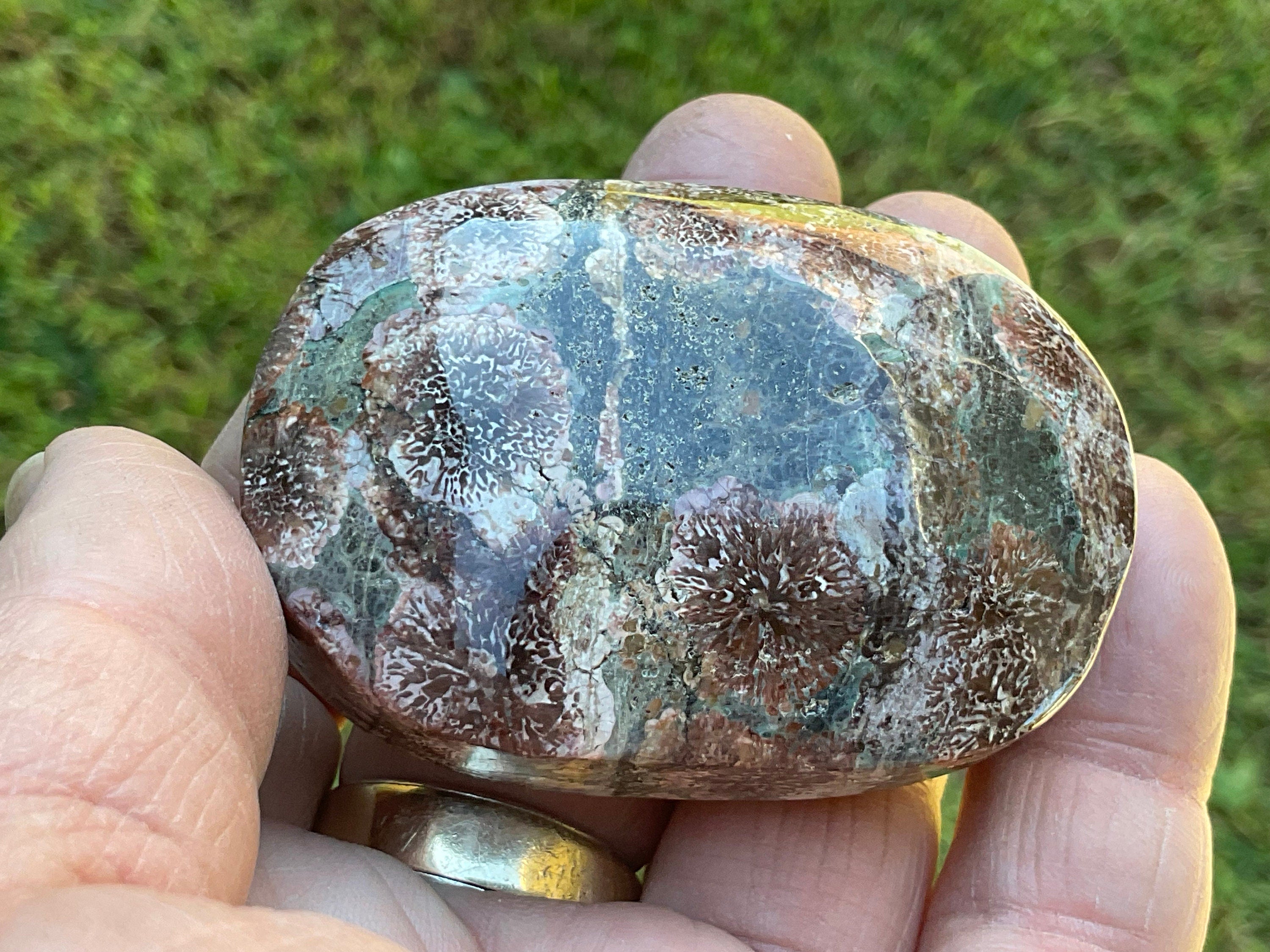 100g Green Cherry Blossom Jasper Palmstone 10C
