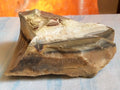 326g Mookaite Jasper Rough 1
