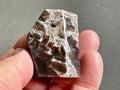 61g Mexican Crazy Lace Agate Freeform 1C
