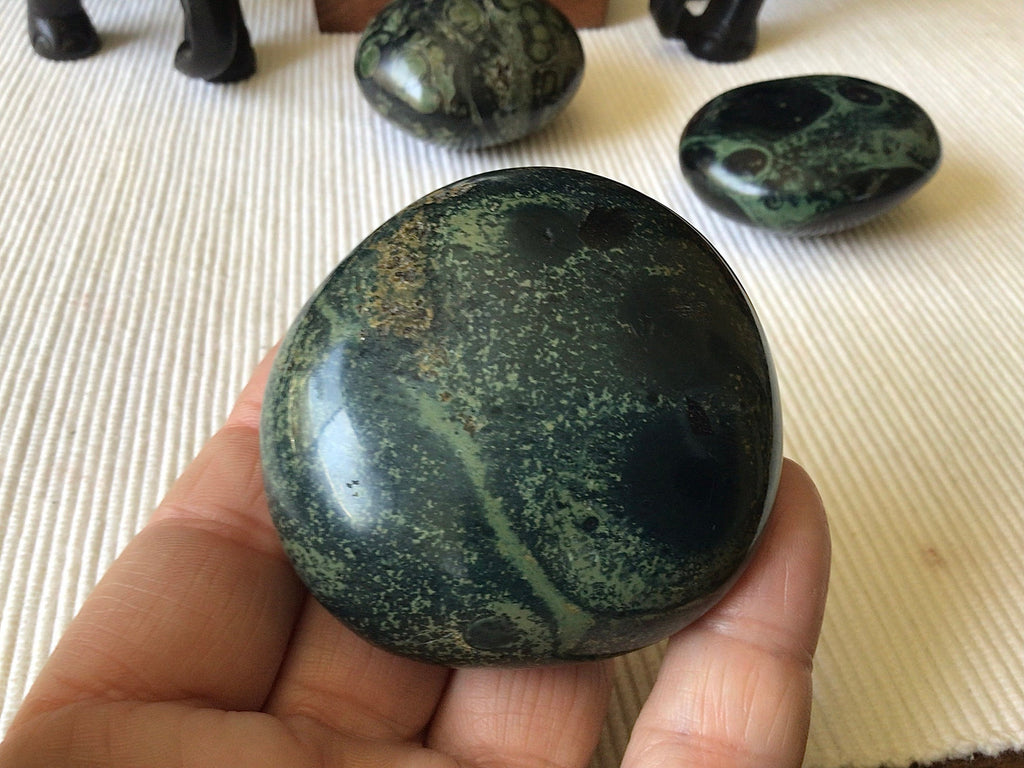173g Kambaba Jasper Palmstone 4B