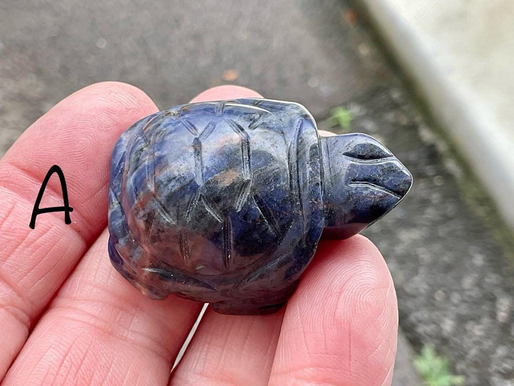 Sodalite Small Turtle Group 2