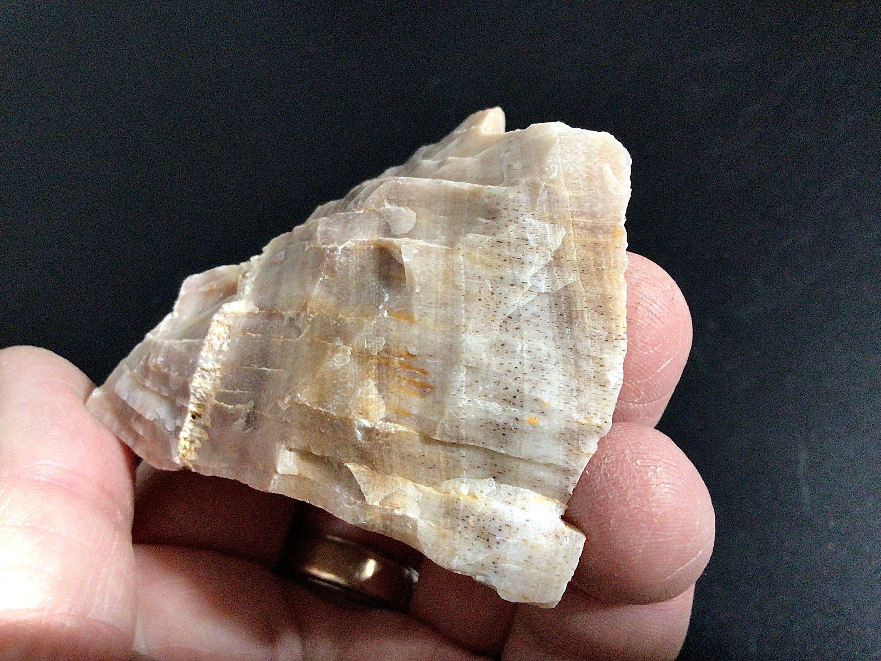 100g Natural Opalised Wood Rough Piece 2B