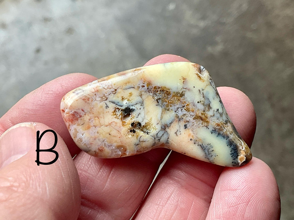 Western Australian ‘Rosella’ Dendritic Opalite Flat Stone Group