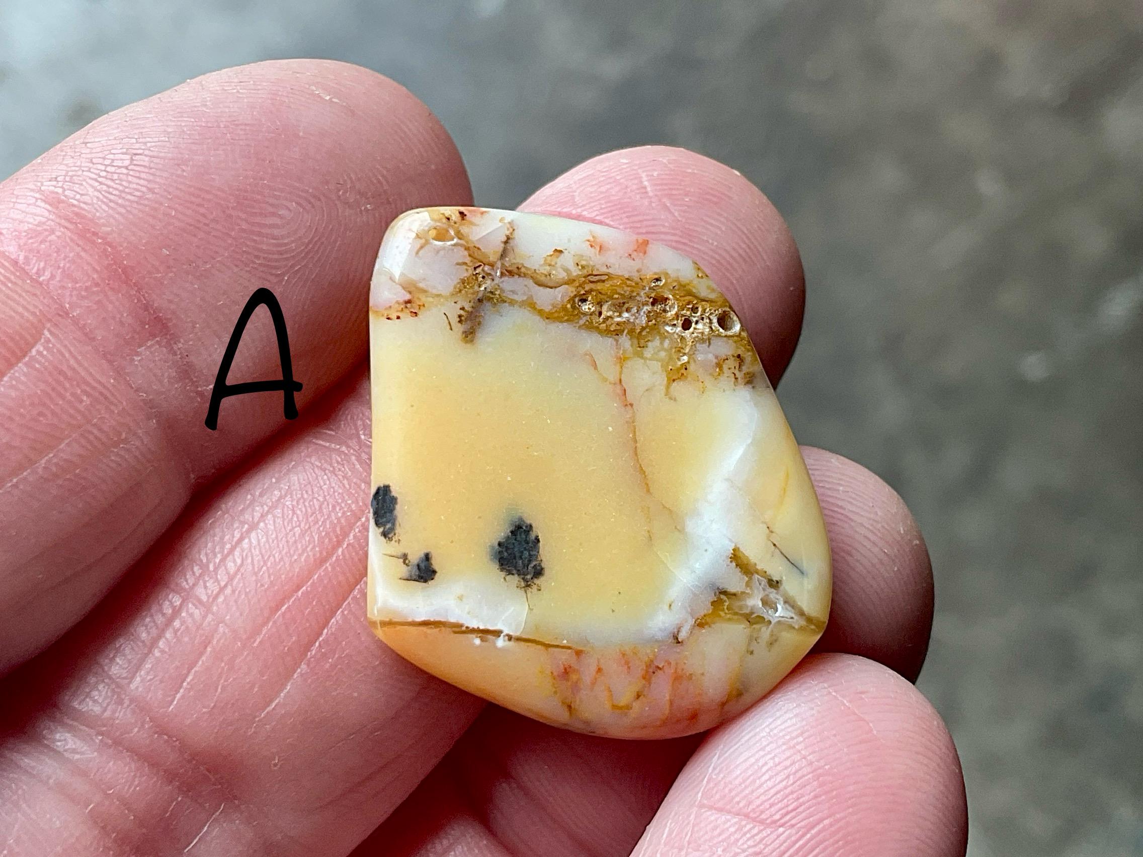 Western Australian ‘Rosella’ Dendritic Opalite Flat Stone Group