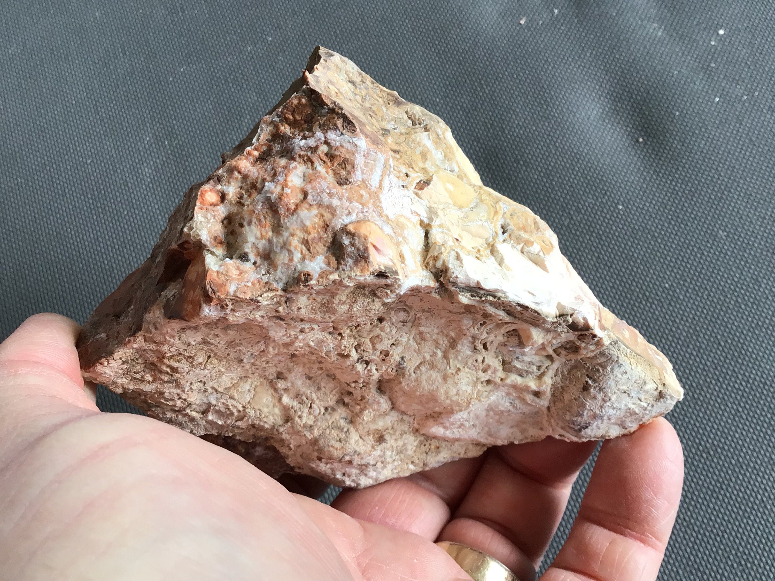 619g King Cobra Jasper Rough Piece D