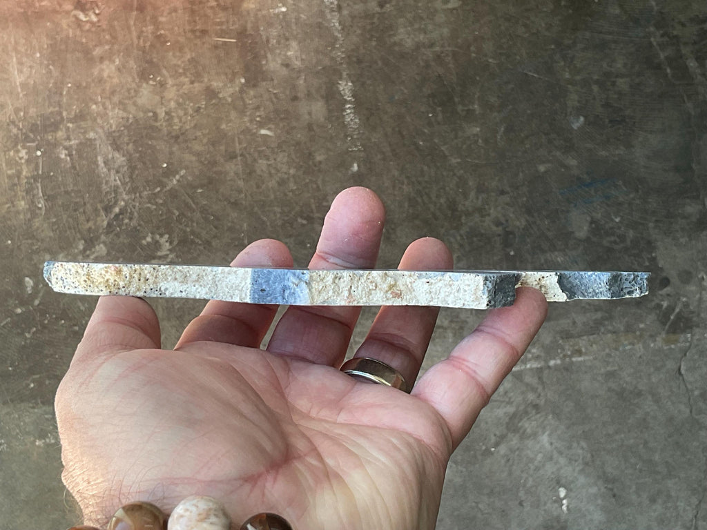 110g Natural Blue Coral Fossil Slab 4C