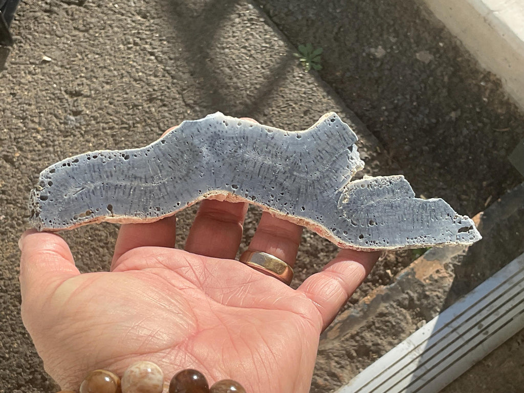 110g Natural Blue Coral Fossil Slab 4C