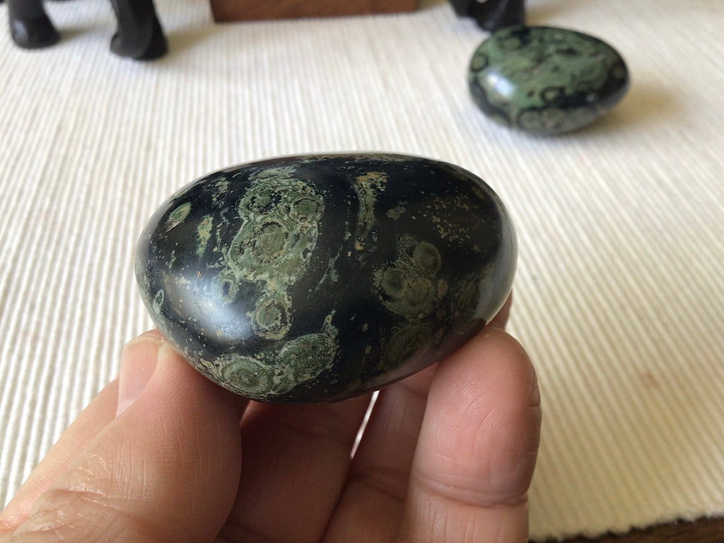 119g Kambaba Jasper Palmstone 3C