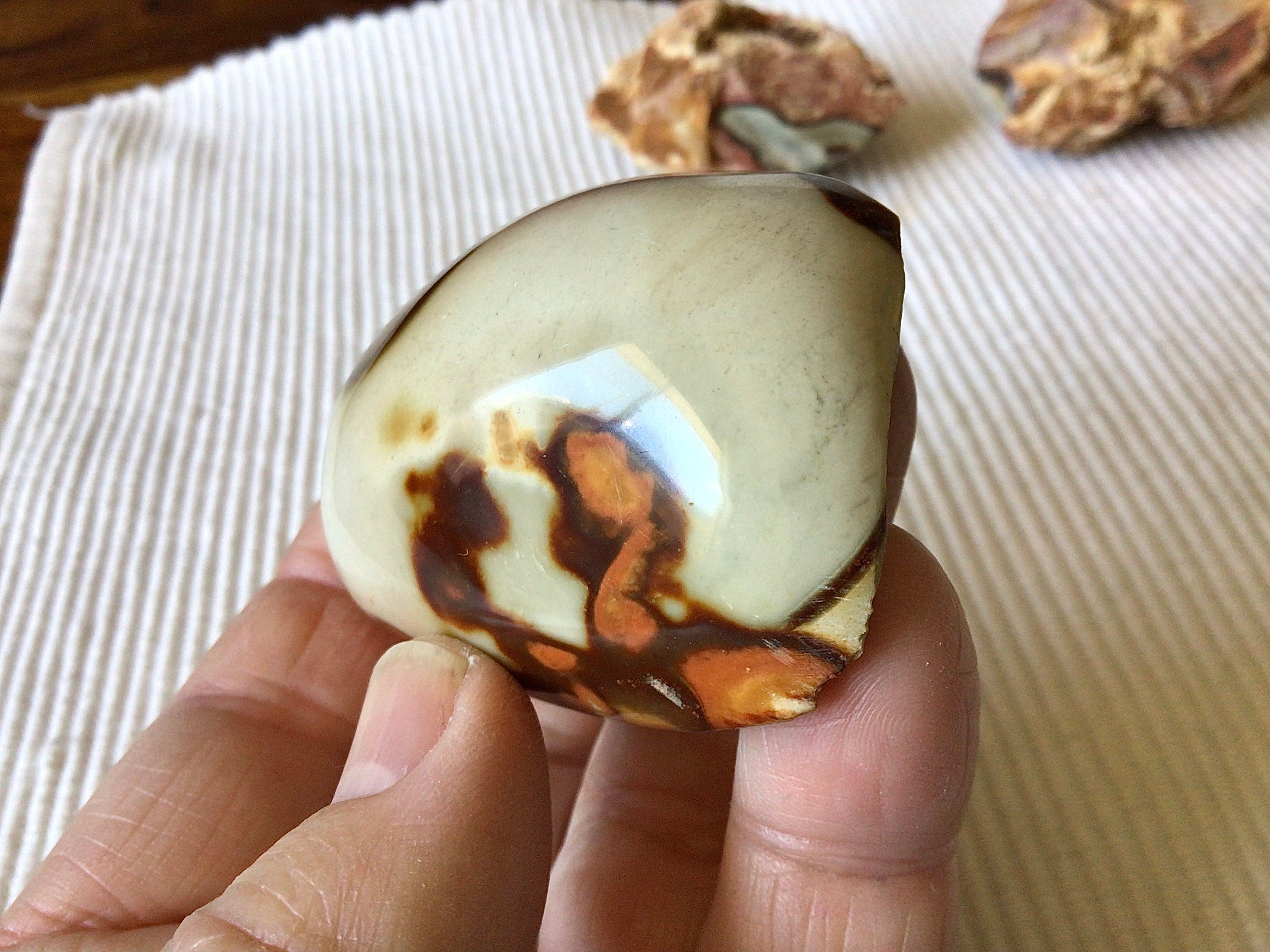 73g Polychrome Jasper One Side Polished 13B