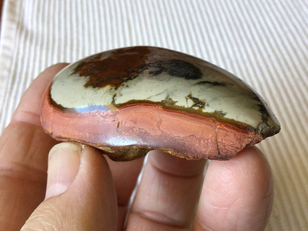 50g Polychrome Jasper One Side Polished 11B