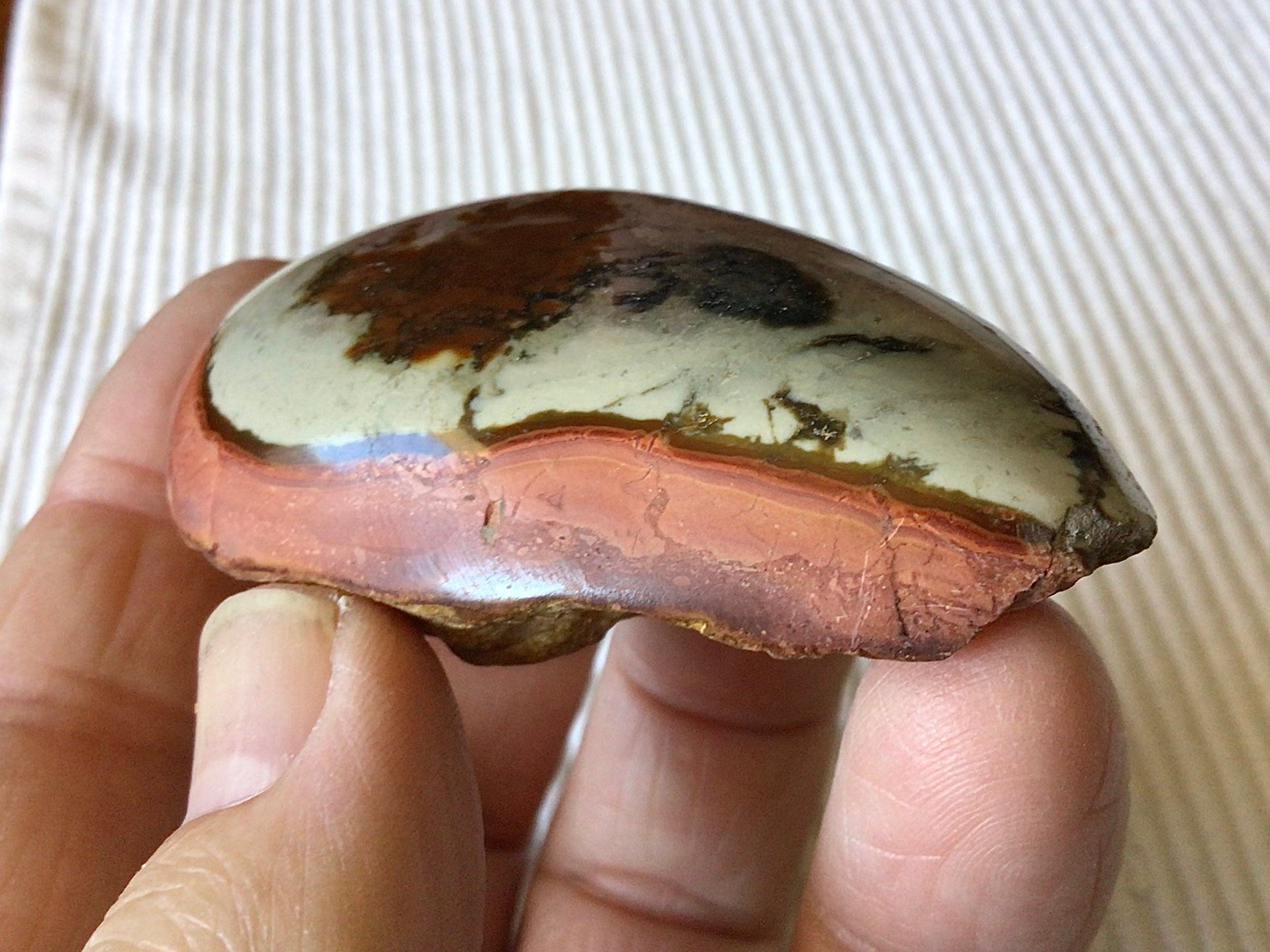 50g Polychrome Jasper One Side Polished 11B