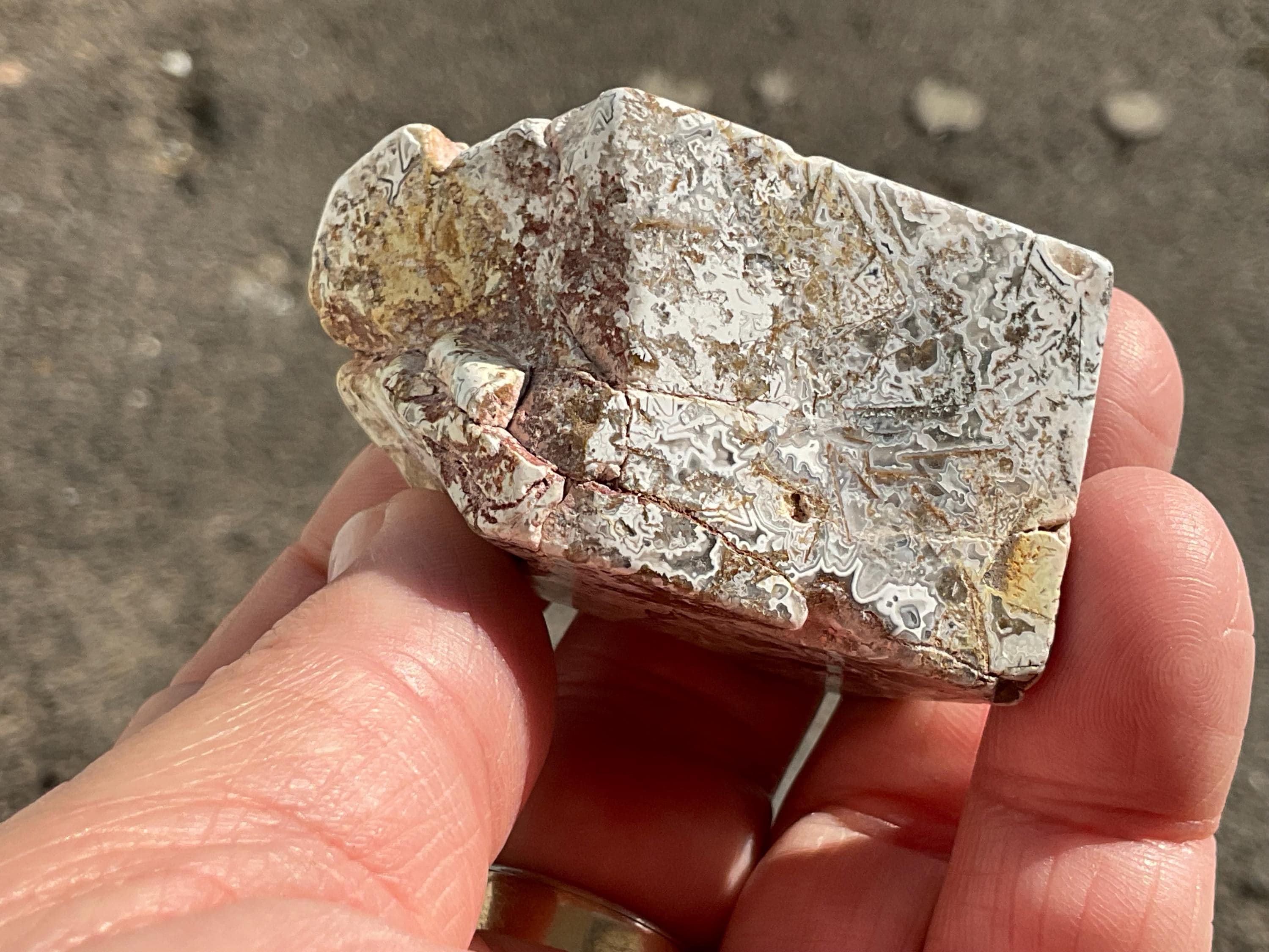 100g Mexican Crazy Lace Agate Freeform 20B