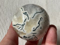 264g Tree Agate/Moss Agate Sphere