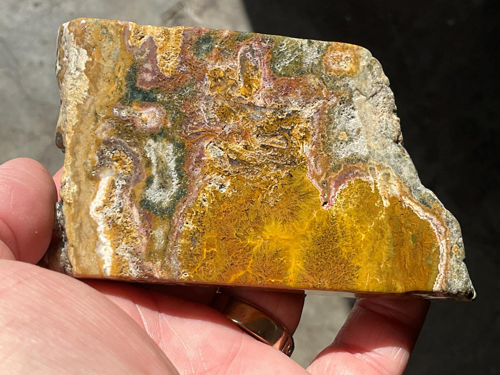 180g Ocean Jasper Polished Slab 3B