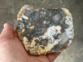 234g Fossilized/Agatised Coral Slab 3B