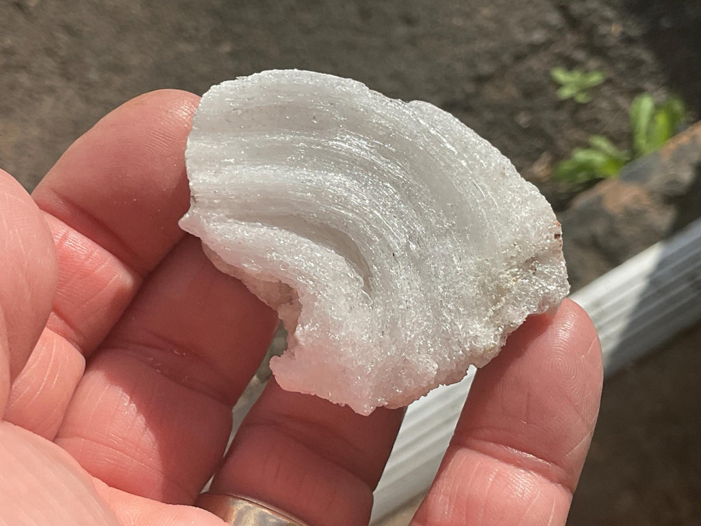 34g Rams Horn Selenite Specimen 6C