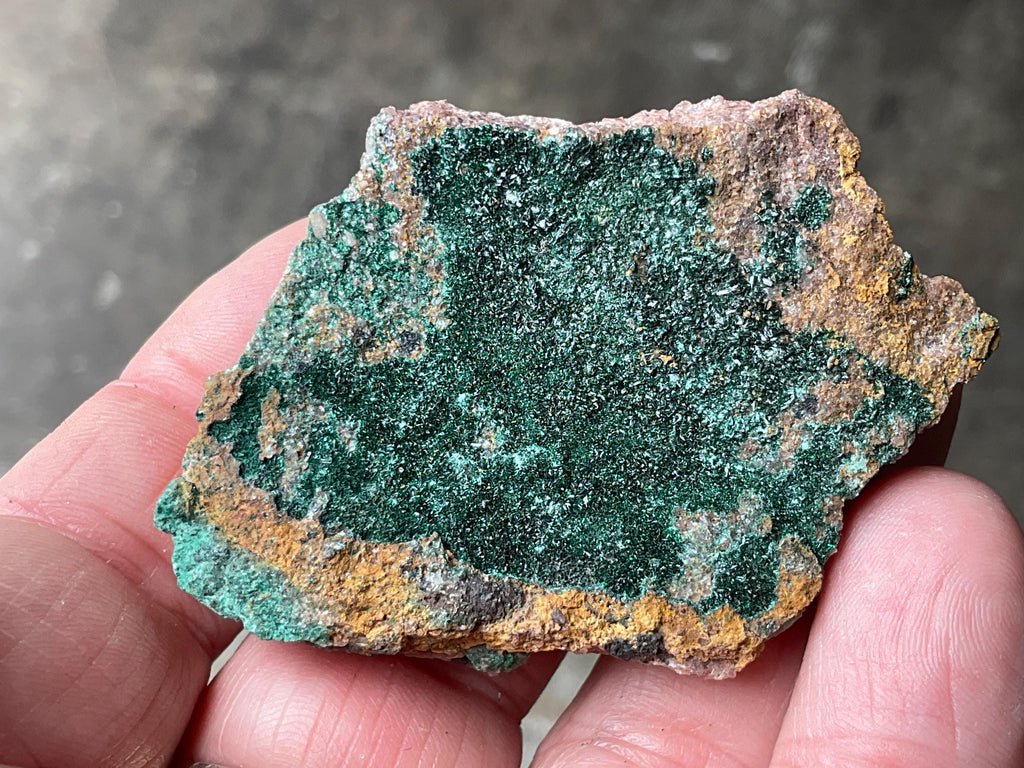 46g Atacamite Specimen 1B from Mt Gunson