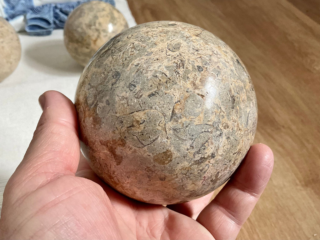 1340g XL Fossilised Ocean Floor Sphere A