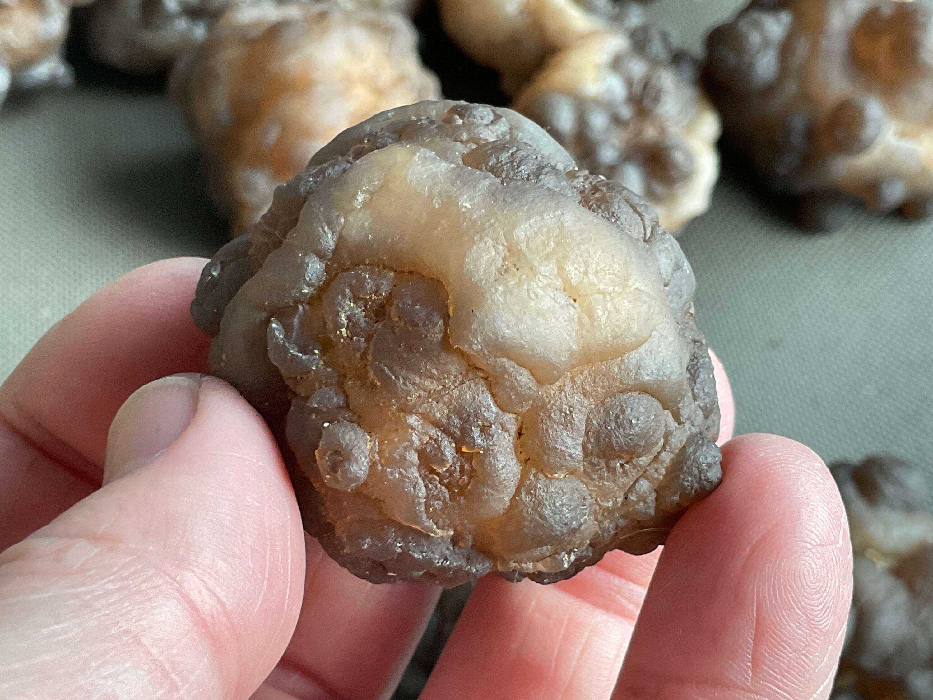 84g Panda Agate Natural Specimen 6A
