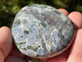100g Ocean Jasper/Opal Palmstone 7C