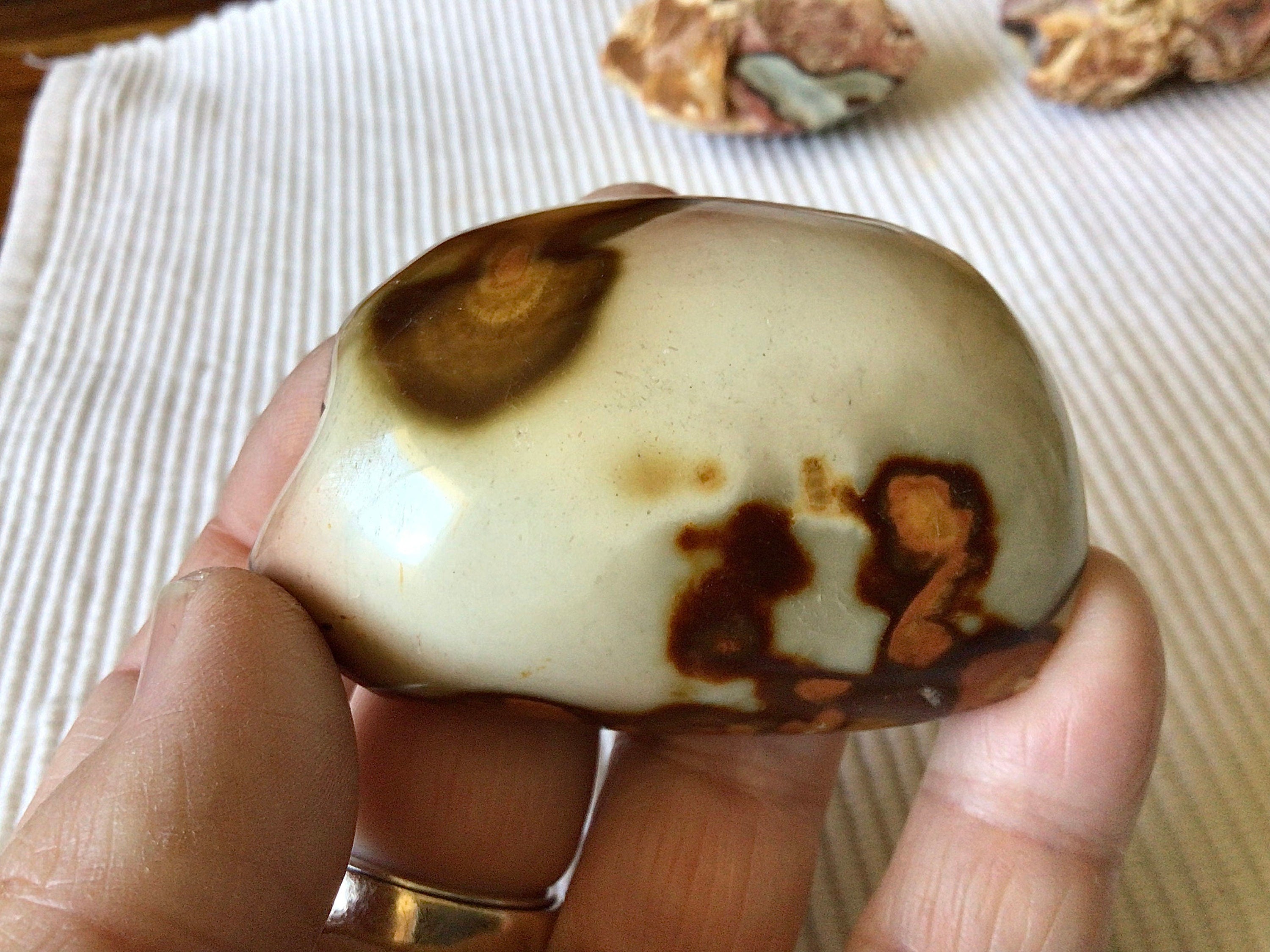 73g Polychrome Jasper One Side Polished 13B