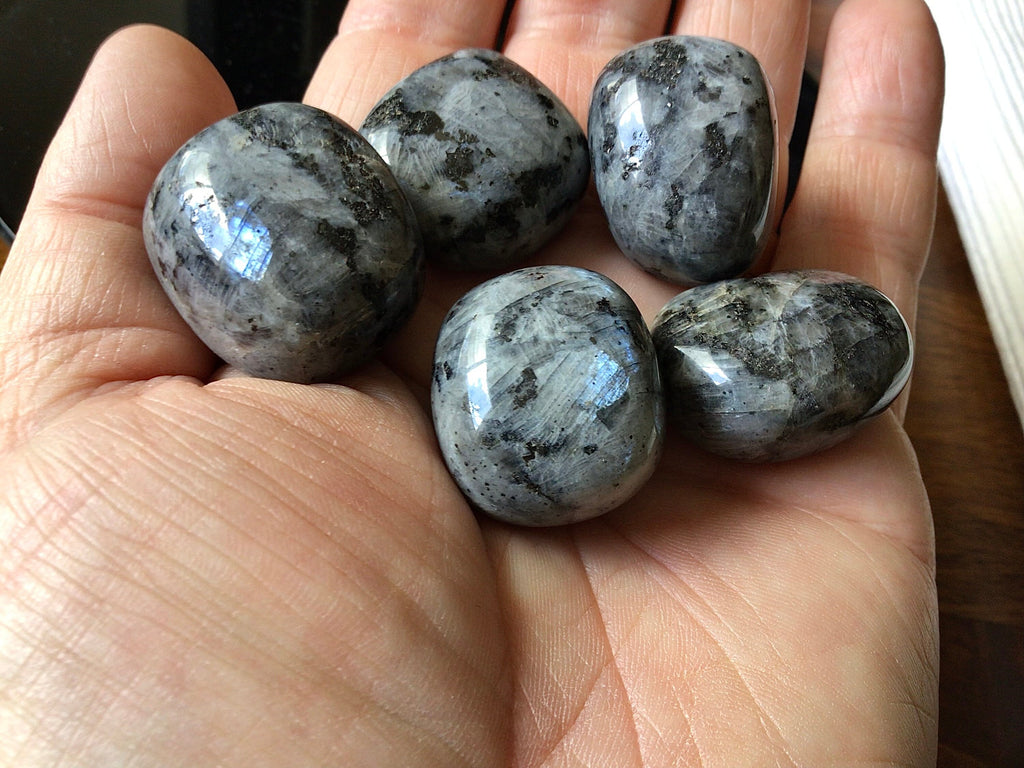 100g (5) Larvikite Tumbled Stones