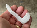 14g Rams Horn Selenite Specimen 5A