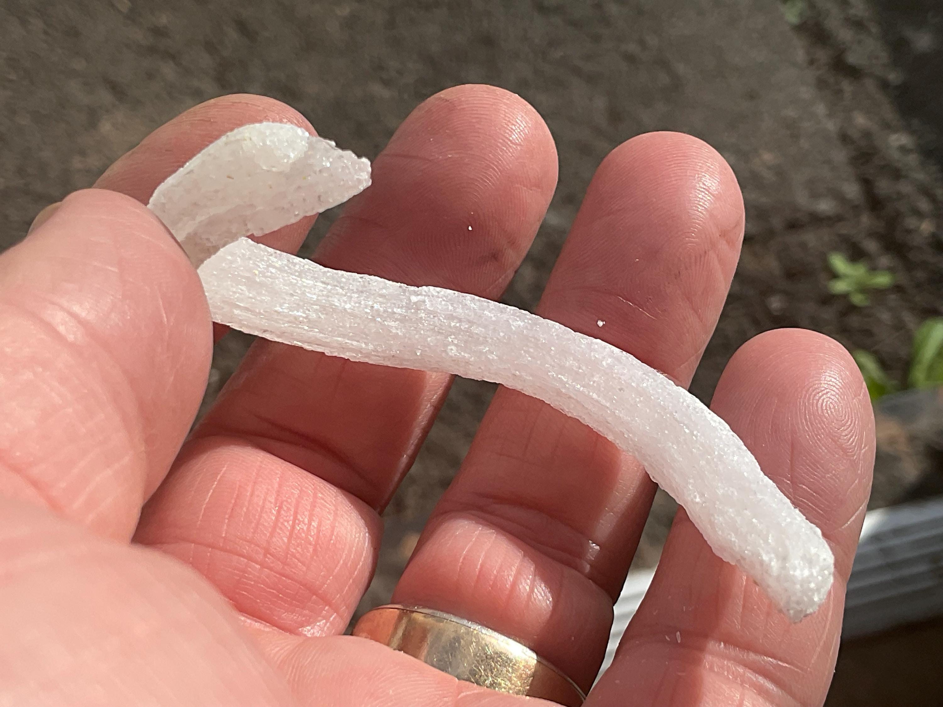 8g Rams Horn Selenite Specimen 3A