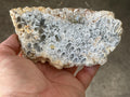 238g Fossilized/Agatised Coral Slab 4A