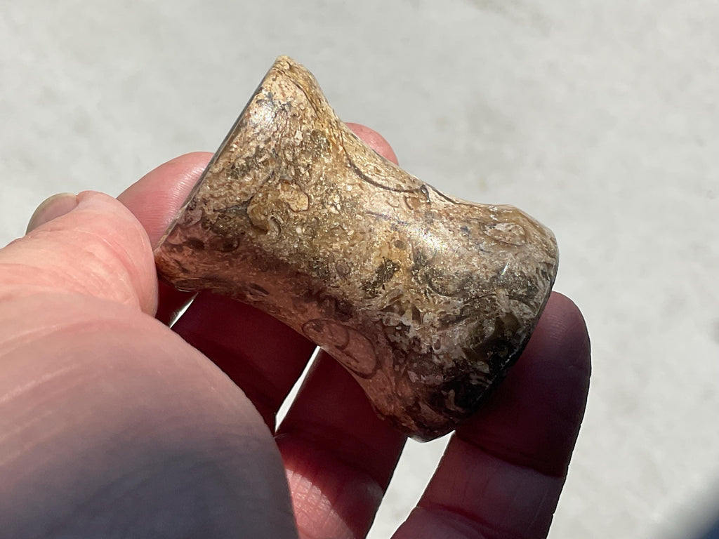 Fossilised Sea Bed Pedestal Sphere Stand 2A