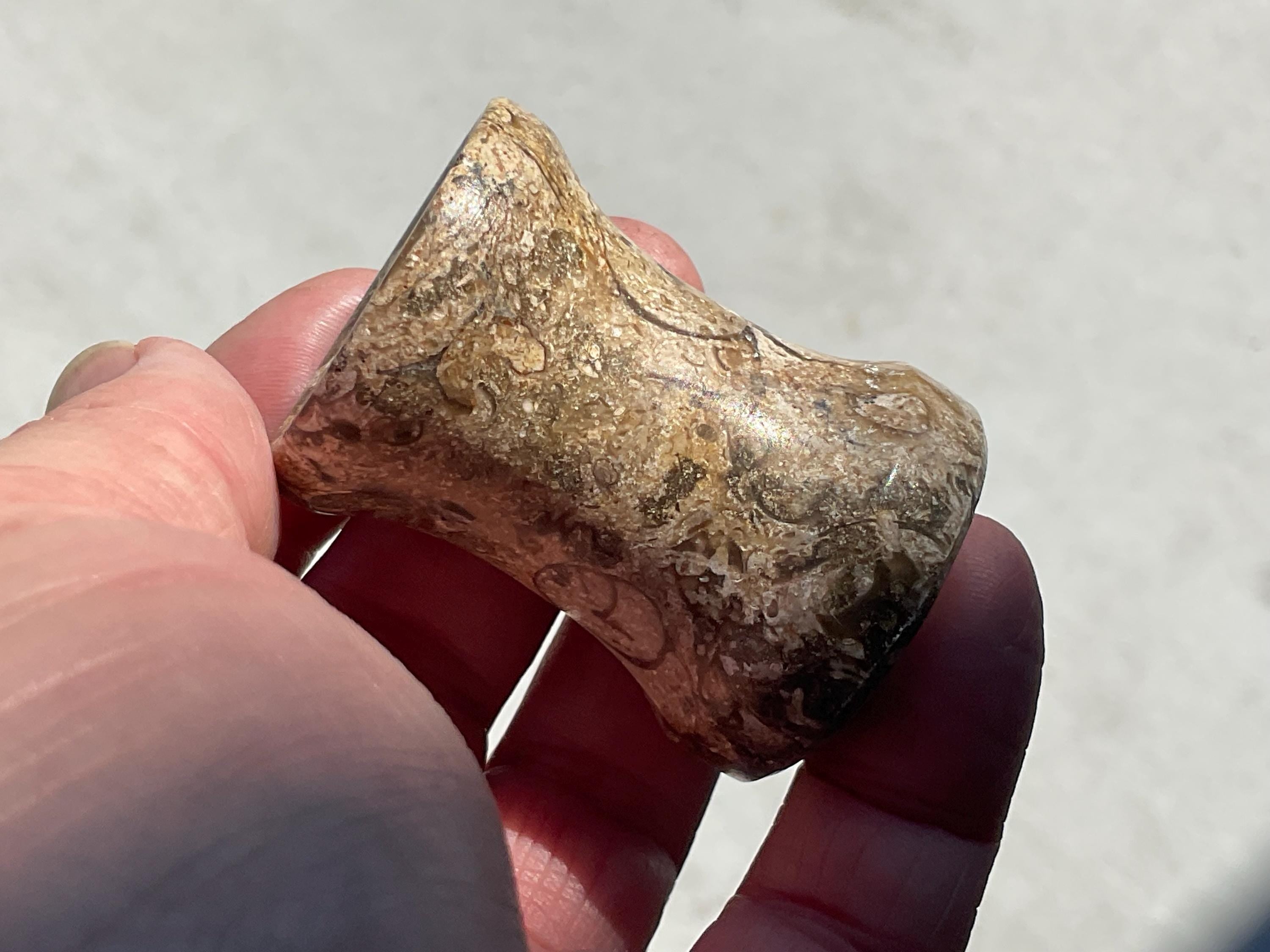Fossilised Sea Bed Pedestal Sphere Stand 2A