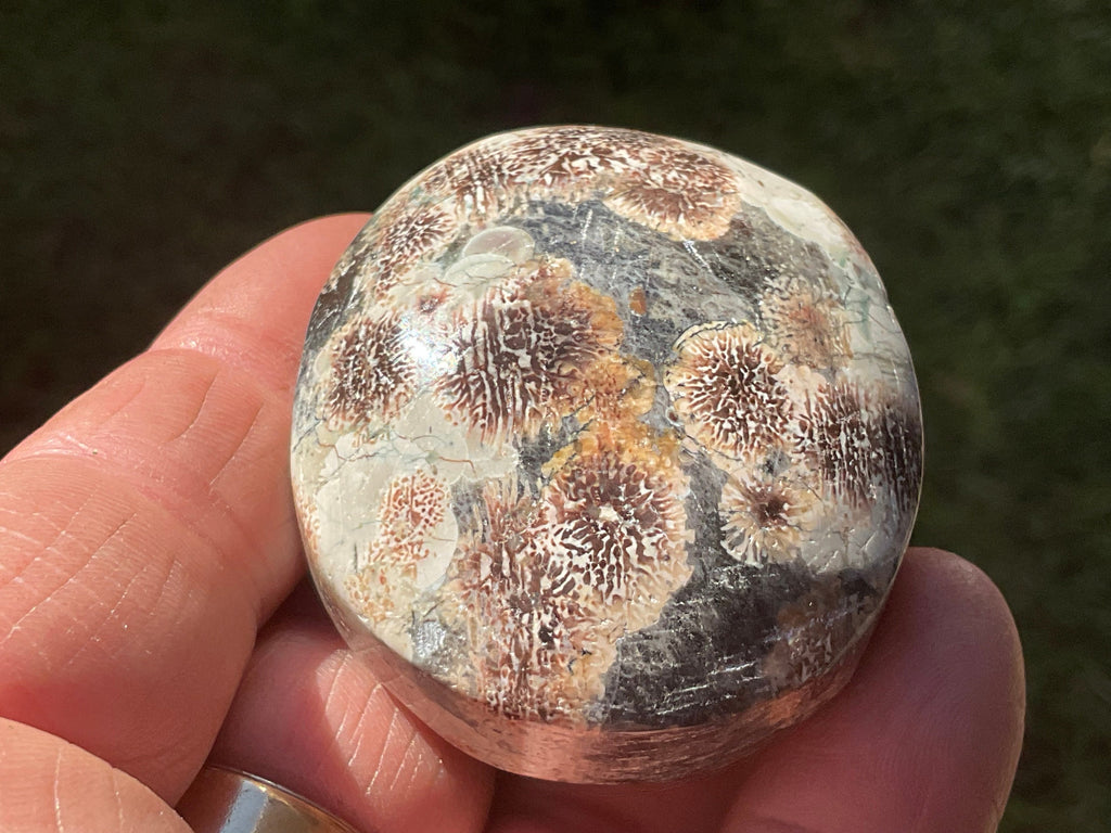 78g Green Cherry Blossom Jasper Palmstone 5B