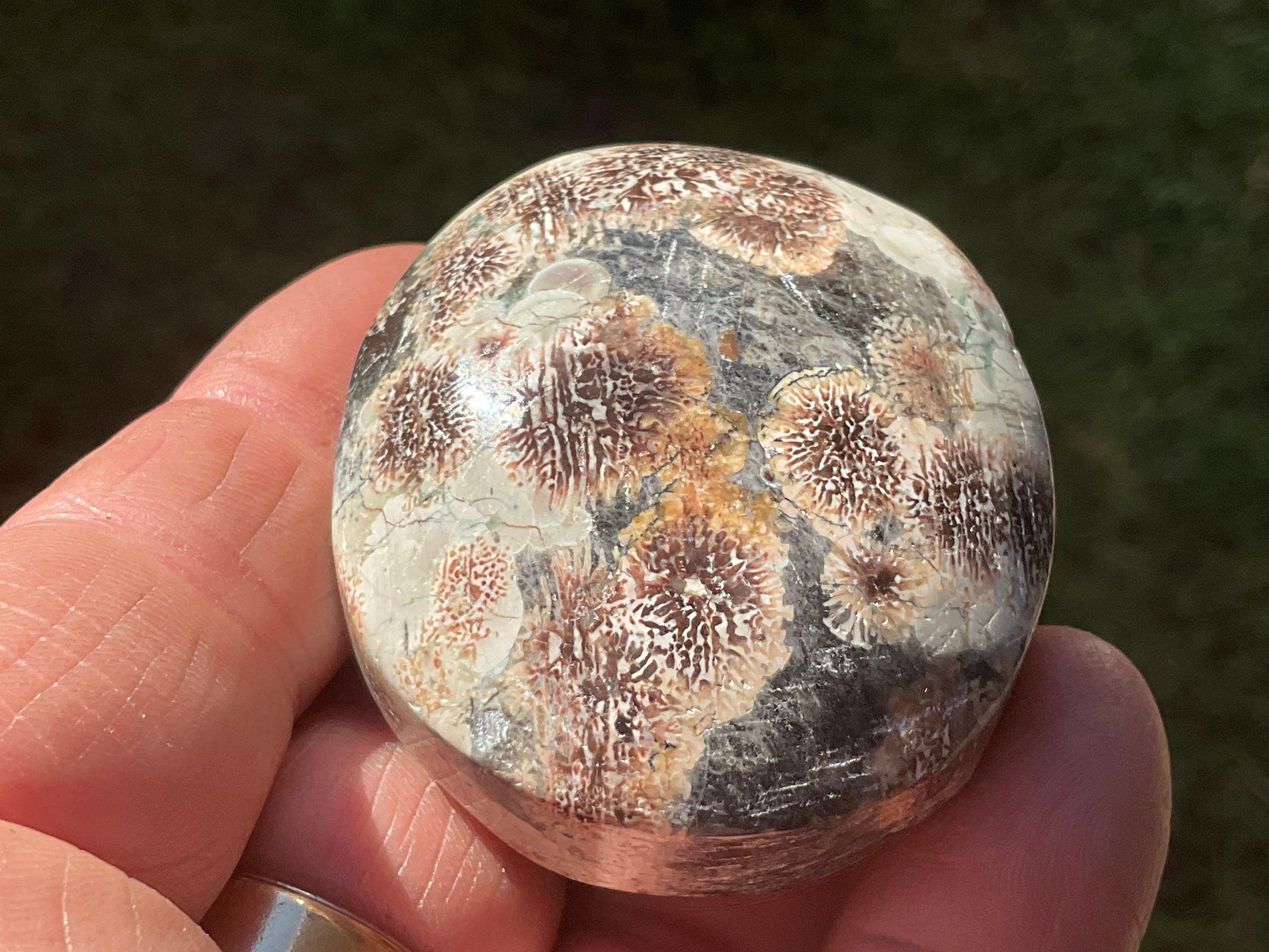 78g Green Cherry Blossom Jasper Palmstone 5B