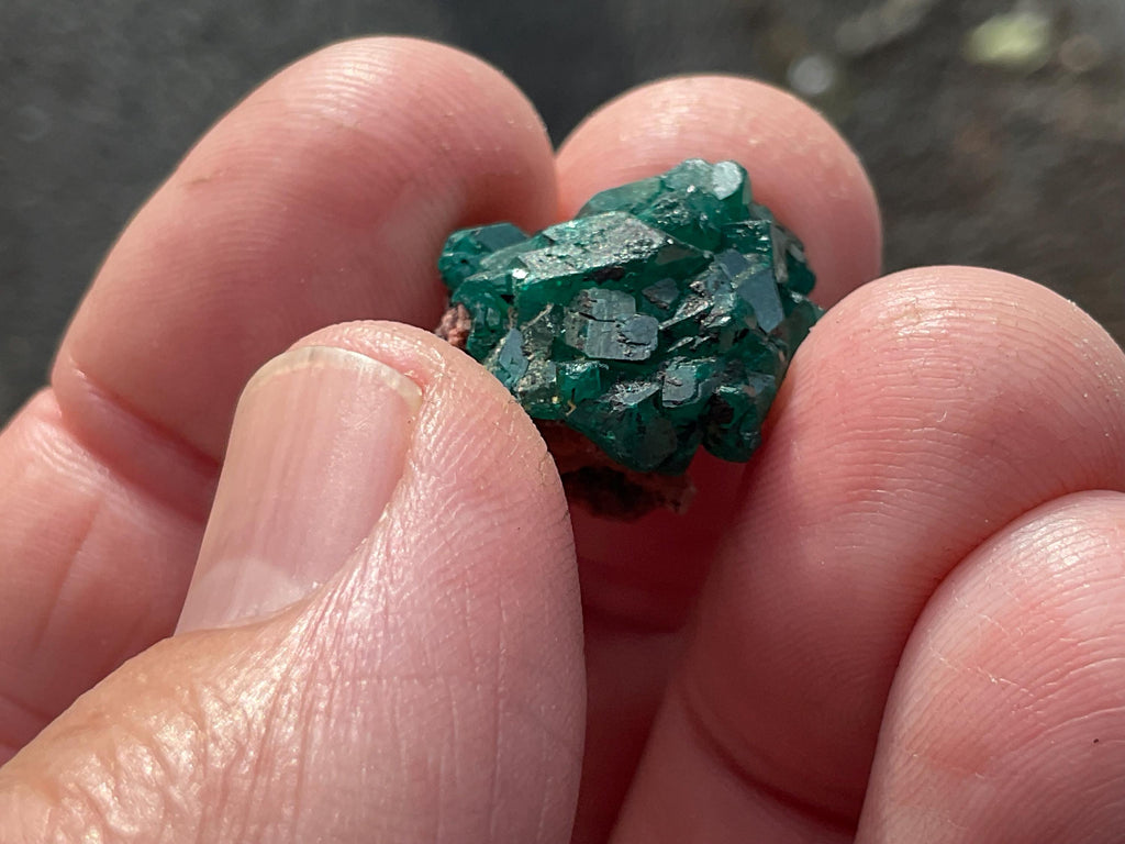 RESERVED FOR ASHRA ** 4g Congolese Dioptase Specimen A