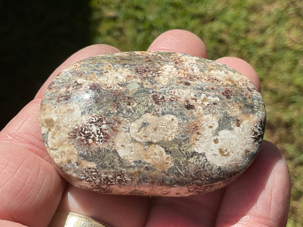 52g Green Cherry Blossom Jasper Palmstone 9B