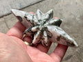 120g Moss Agate Polaris with stand 2C