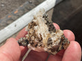 84g Anglesite Specimen 3 from Block 14 Opencut Mine, Broken Hill