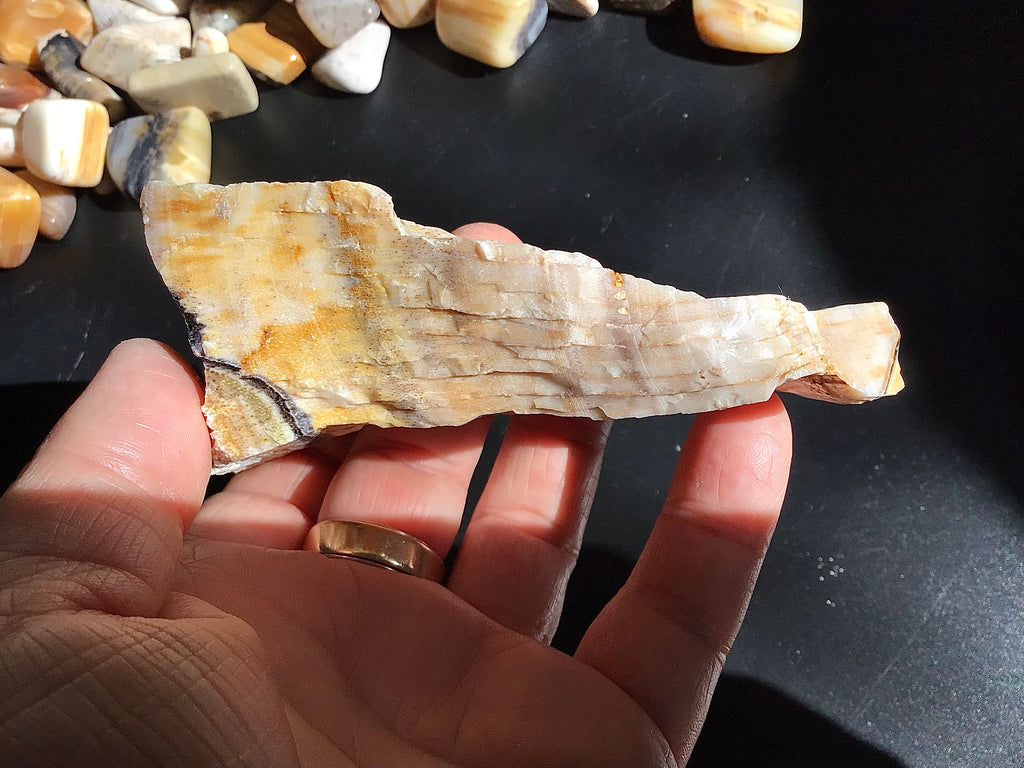 160g Natural Opalised Wood Rough Piece 6A