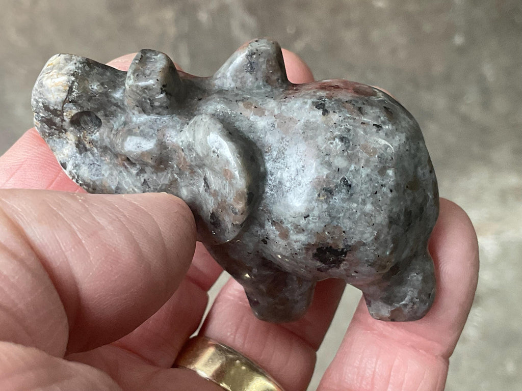 76g Syenite with Sodalite (Yooperlite) Elephant Carving C