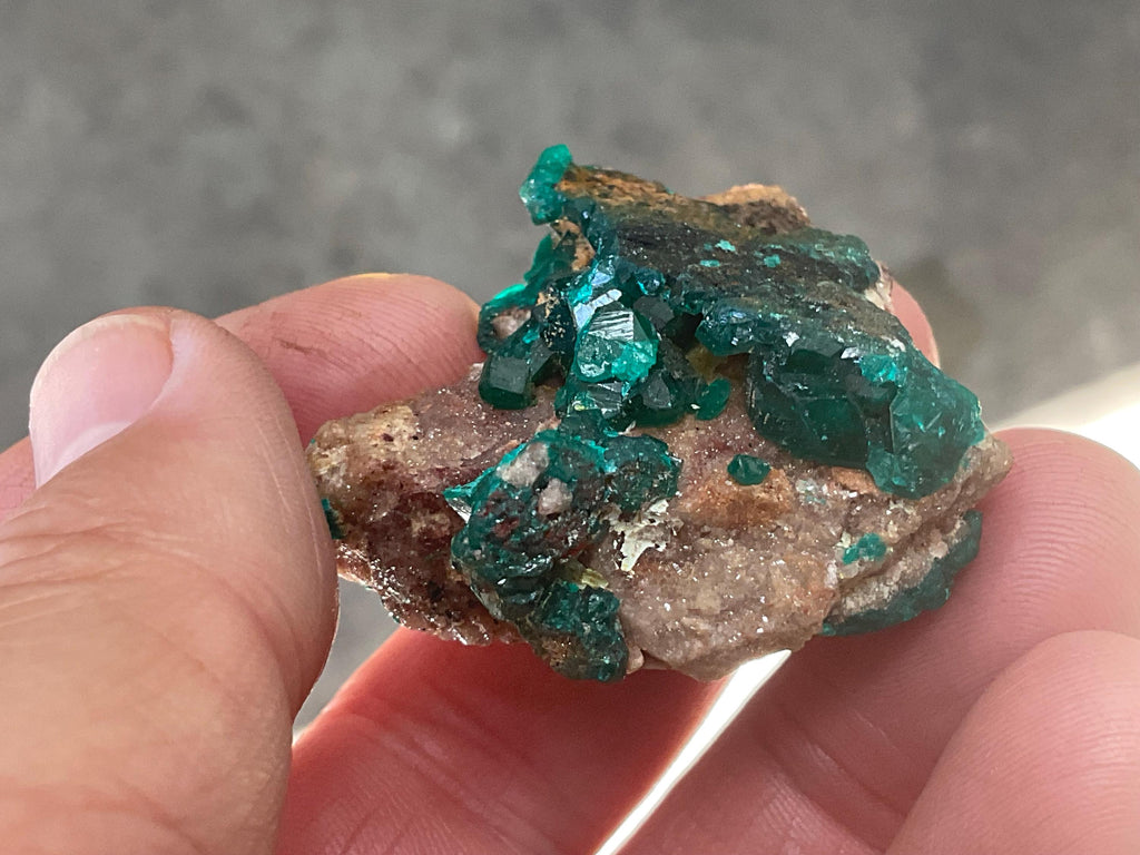 34g Congolese Dioptase Specimen 10B