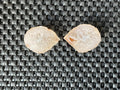 18g Small Brazilian Agate Polished Pair B