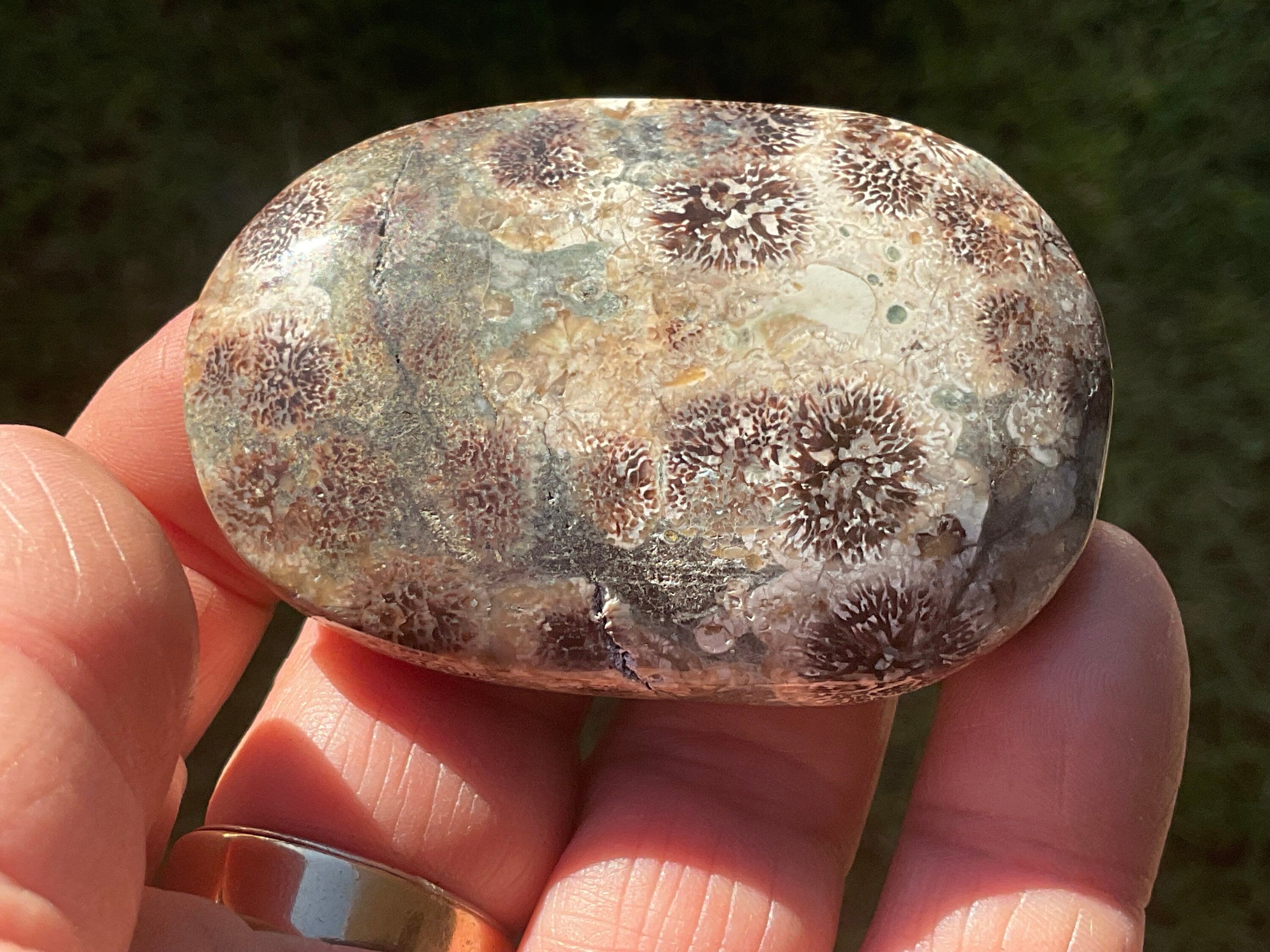 68g Green Cherry Blossom Jasper Palmstone 6A