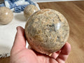 1340g XL Fossilised Ocean Floor Sphere A